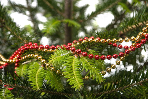 spruce branches with Christmas decorations