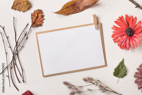 Autumn background: fallen leaves, dry petals, dried flowers and plants, simple rustic branches on white with  blank stationary template / invitation mockup / empty paper card. Top view. Flat lay.