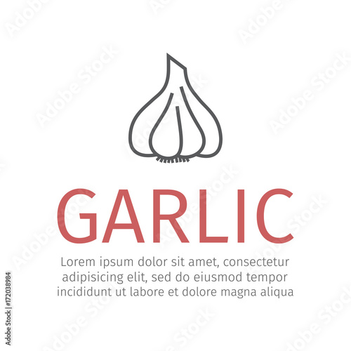 Garlic line icon