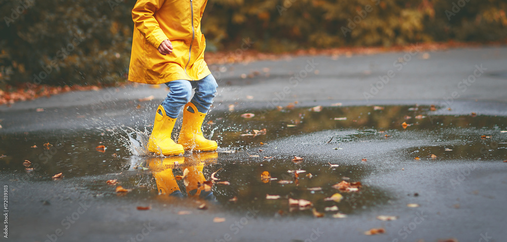 Fototapeta premium legs of child in yellow rubber boots in puddle in autumn.