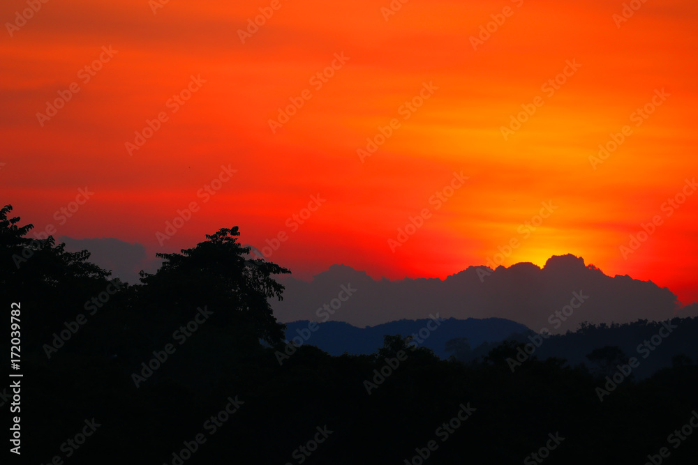 Halloween day background with sunset in sky and silhouette tree   evening nature twilight time beautiful