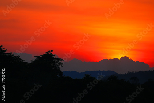 Halloween day background with sunset in sky and silhouette tree evening nature twilight time beautiful