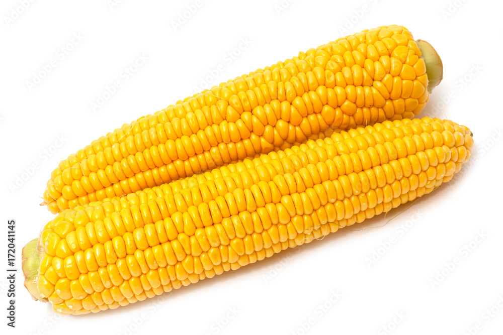 corn on the cob isolated on white background corn on the cob isolated on white background