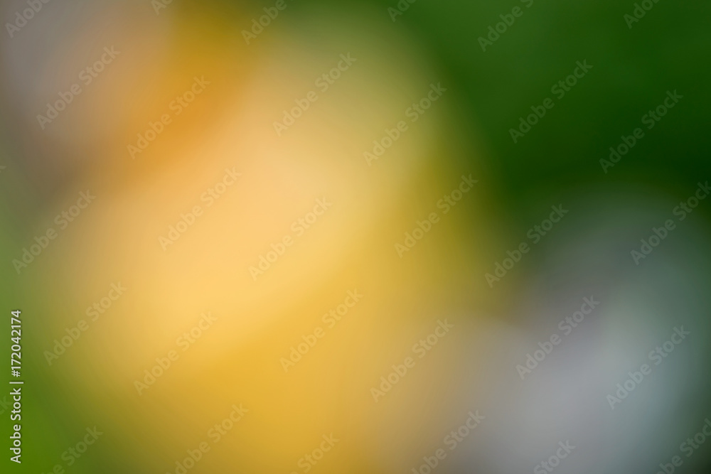 Abstract blurred yellow and green foggy background Abstract blurred yellow and green foggy background