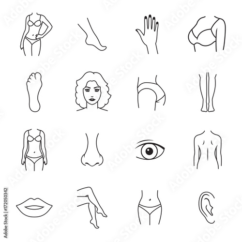 Human body parts icons