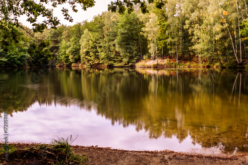 Waldsee in Sachsen