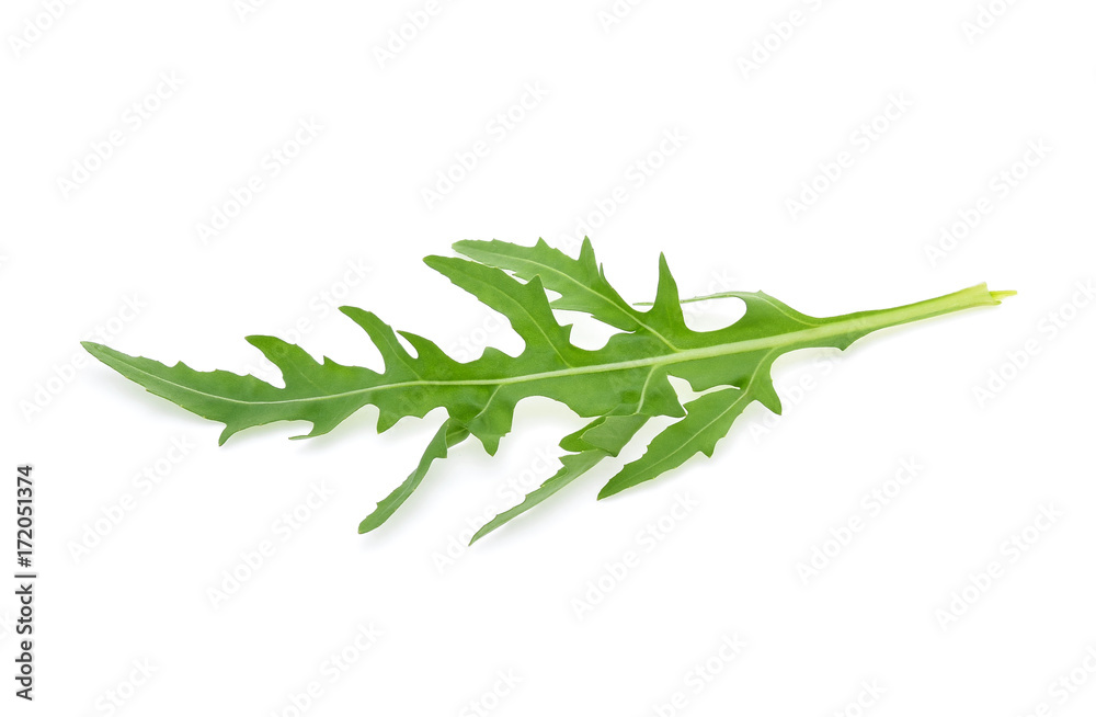 Fototapeta premium Sweet rucola salad or rocket lettuce leaves isolated on white background