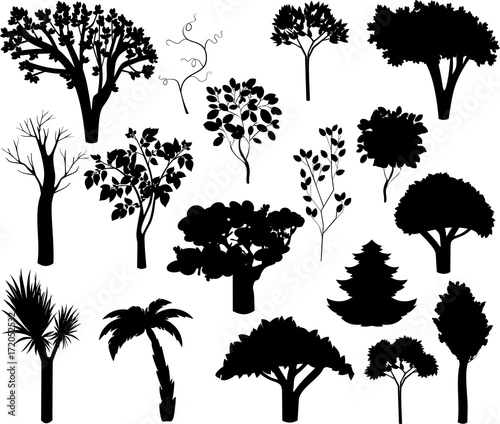 Set of different silhouettes of trees. Silhouettes of deciduous and coniferous trees