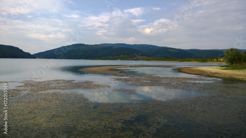 Lake in the summer
