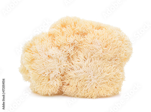Fototapeta lion mane mushroom isolated on white background.