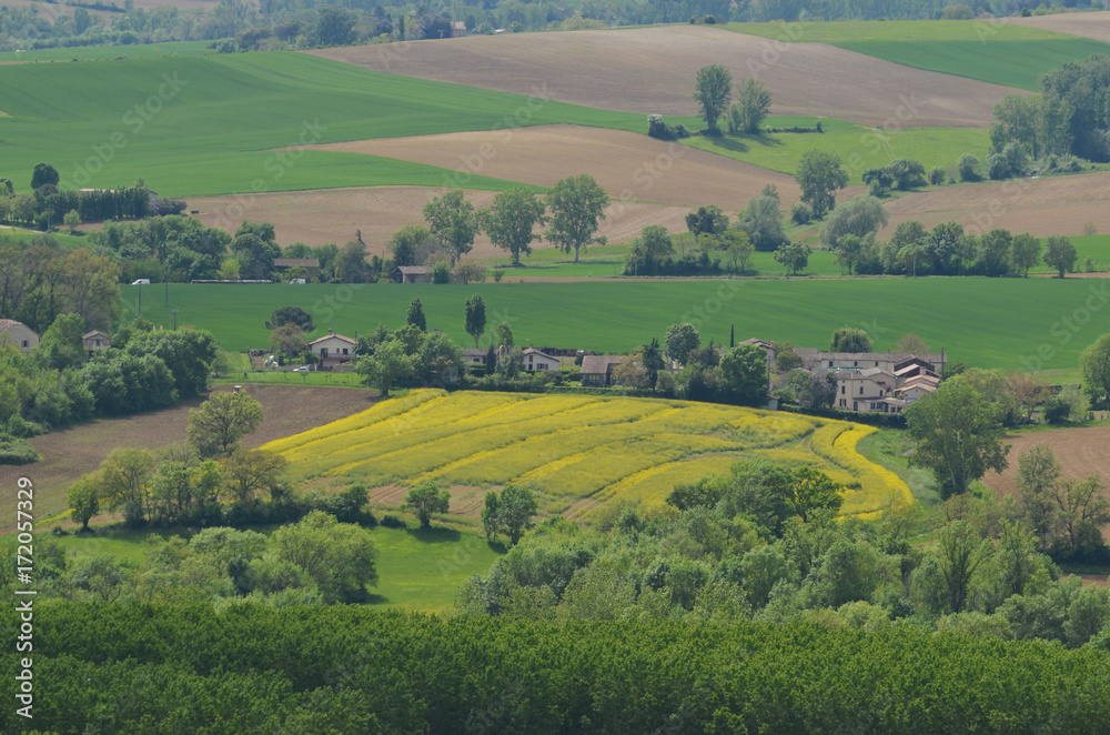 Lectoure, parcelle jaune du paysage, Occitanie, Gers, France