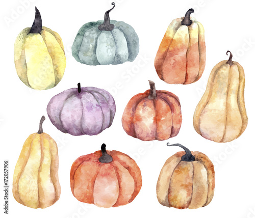 Watercolor pumpkins set