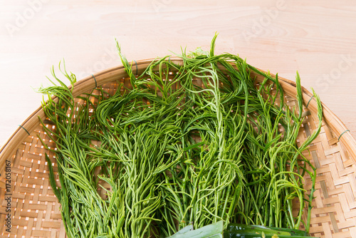 Thai local vegetable, Senegalia pennata or Acacia pennata photo