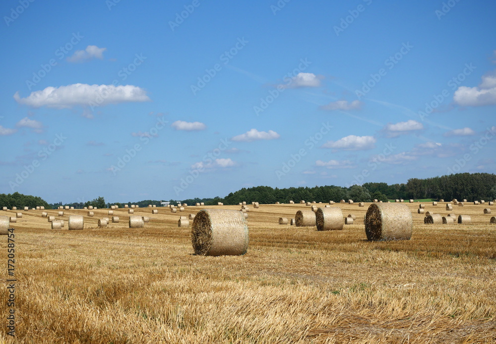 roll of hay