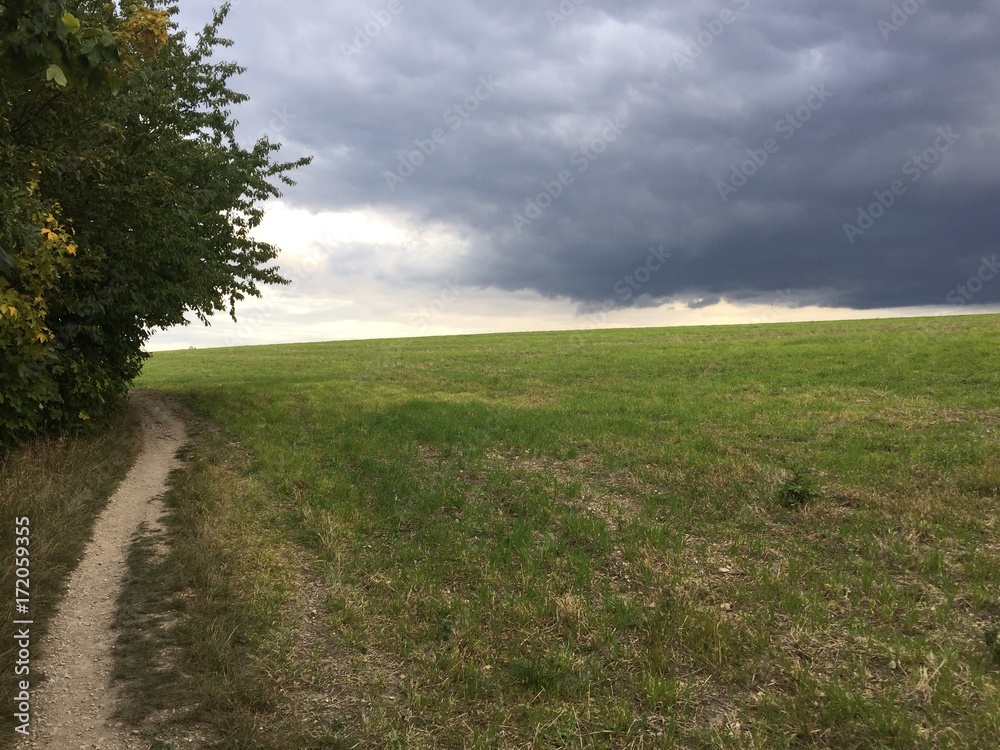 Obraz premium country path, sky, country, autumn, clouds, tree