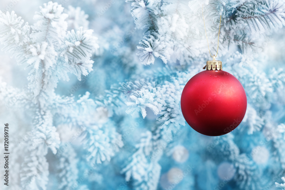 Christmas Ball Hanging on a Snow Tree Branch
