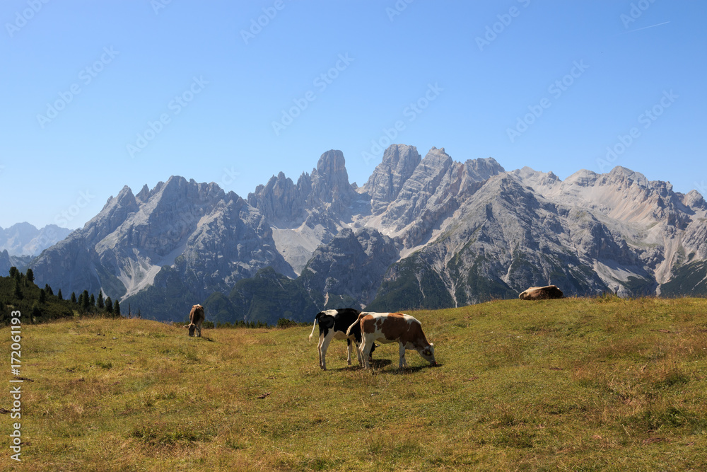 Il monte Cristallo da Prato Piazza (Dolomiti) Il monte Cristallo da Prato Piazza (Dolomiti)