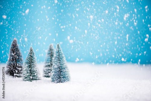 Christmas pine trees in snow agains blue copy space © marcin jucha