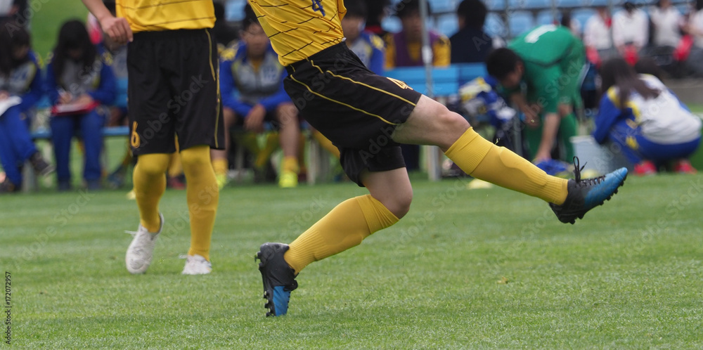Fototapeta premium サッカー フットボール