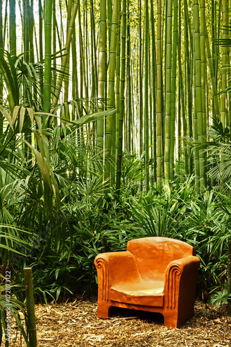 Armchair in the middle of the bamboos in the bamboo plantation of Anduze