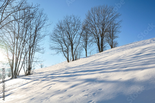paysage hivernal sous ciel bleu