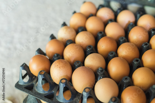 Chicken Eggs farm in the package box photo