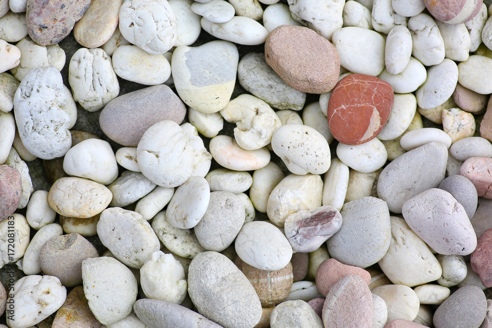 Fototapeta premium pebble stone background.