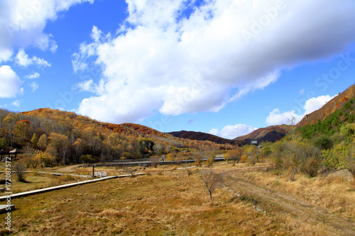 In autumn, trees on the hillside