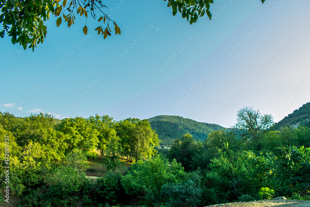 Fototapeta premium Green tree forest and mountain background, beautiful bird eye view