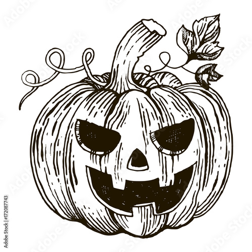 Halloween pumpkin engraving style vector