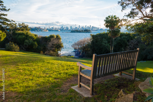 A bench with Sydney skyline view.