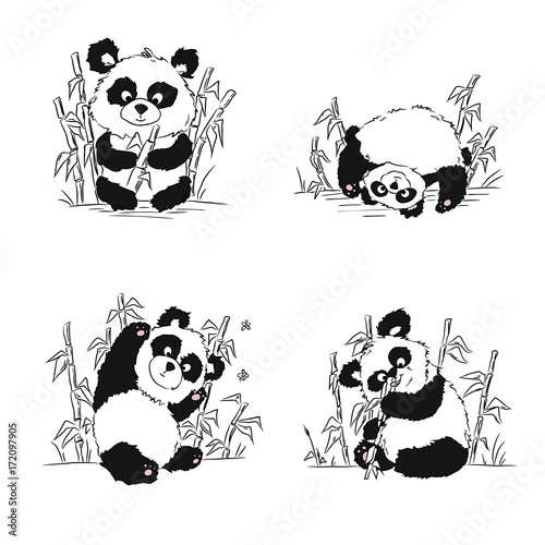 Fototapeta Naklejka Na Ścianę i Meble -  A set of sketches with a panda cub. Panda sitting, eating, playing. Hand drawing.