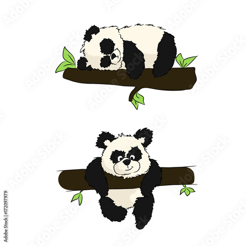 Fototapeta Naklejka Na Ścianę i Meble -  Panda is sleeping or playing on a tree. Color vector illustration