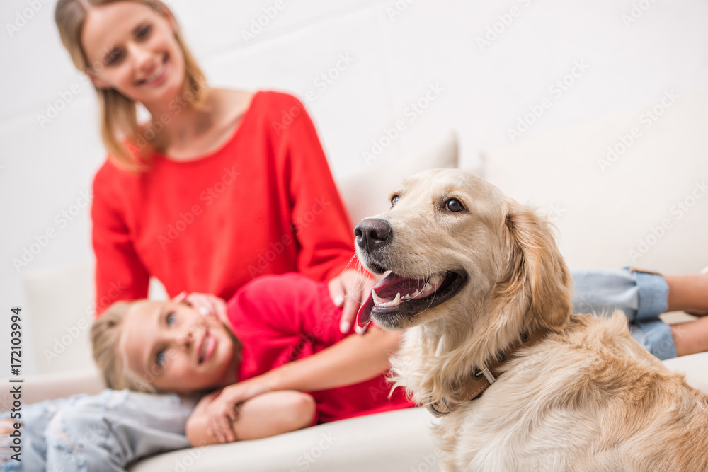 mother and daughter with dog mother and daughter with dog