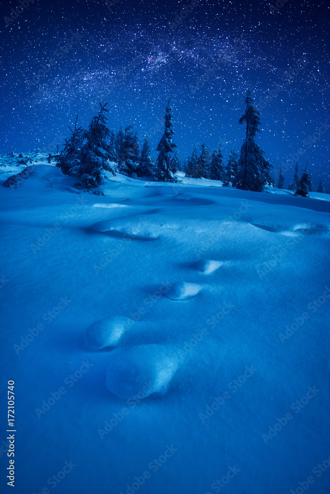 Fairy winter forest illuminated by moon light