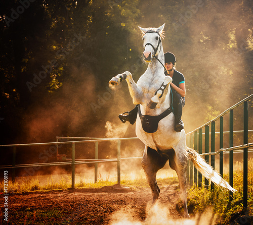 Foto Woman riding a horse in dust, beautiful pose on hind legs