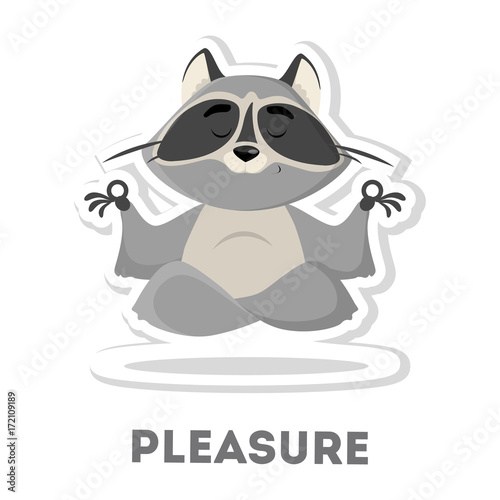 Isolated pleasured raccoon.