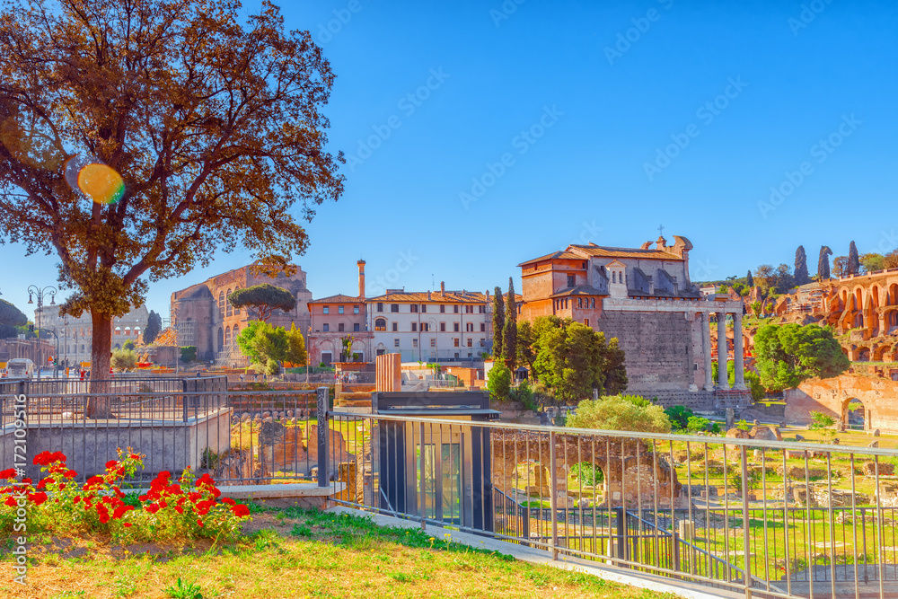 Fototapeta premium Archaeological and historical objects in Rome, united by the name - Roman Forum. Italy.