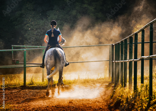 Woman riding a horse in dust on paddock