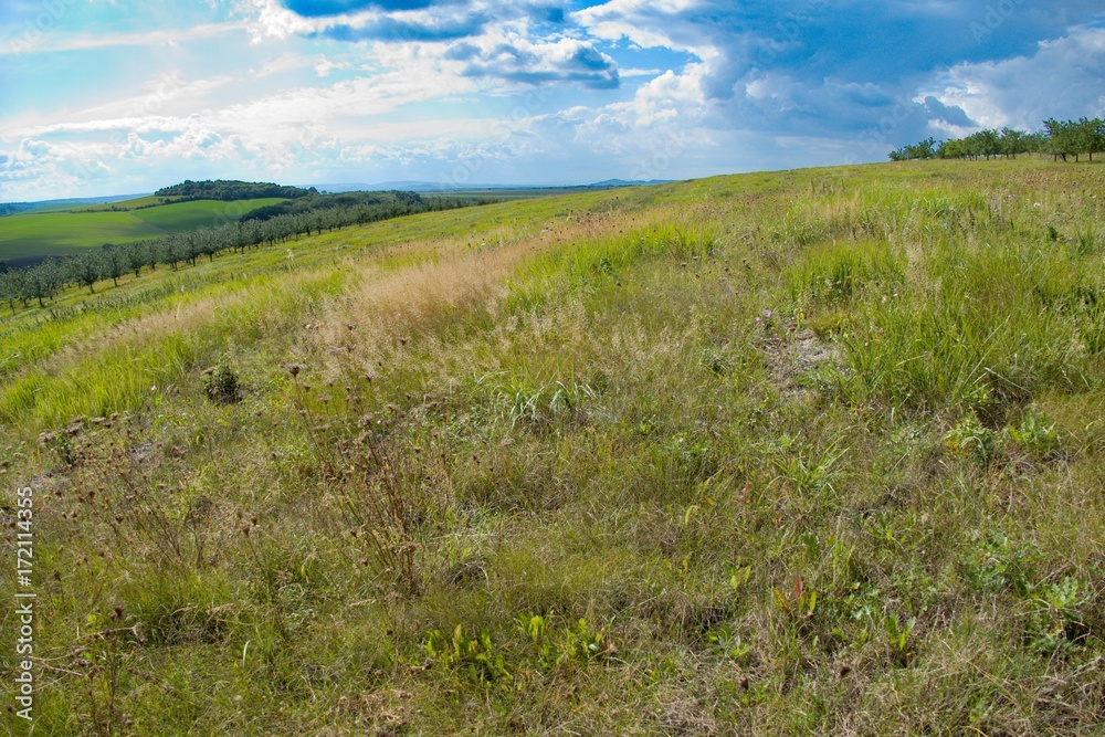 Obraz premium green czech landscape with fields