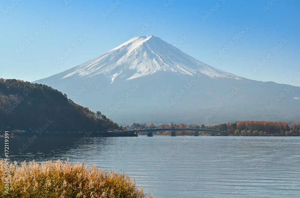 Fuji Mountain with momiji or maple leaves in autumn with blue sky at Lake kawaguchiko in japan.