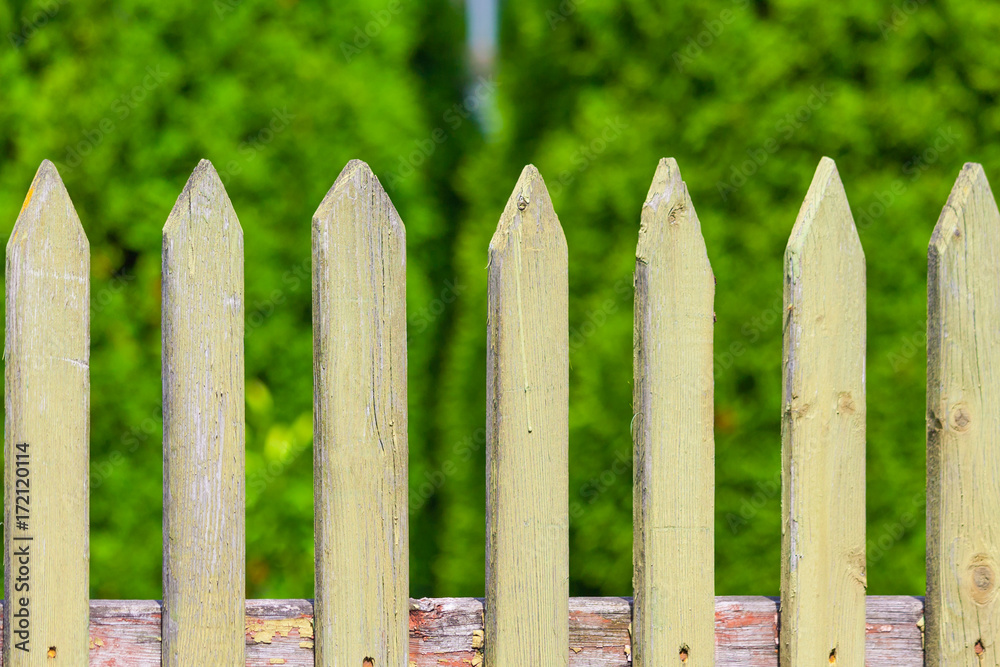 Fragment of a wooden fence a background of green garden Fragment of a wooden fence a background of green garden