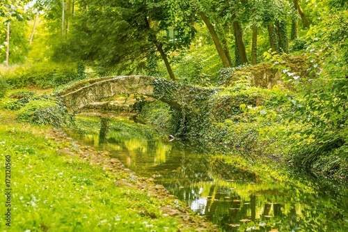 Green park with a beautiful river and bridge in autumn