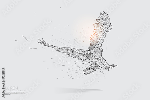 The particles line and dot of eagle flying.