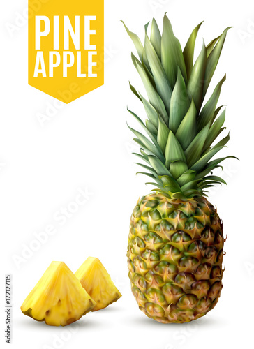 Realistic Pineapple Illustration