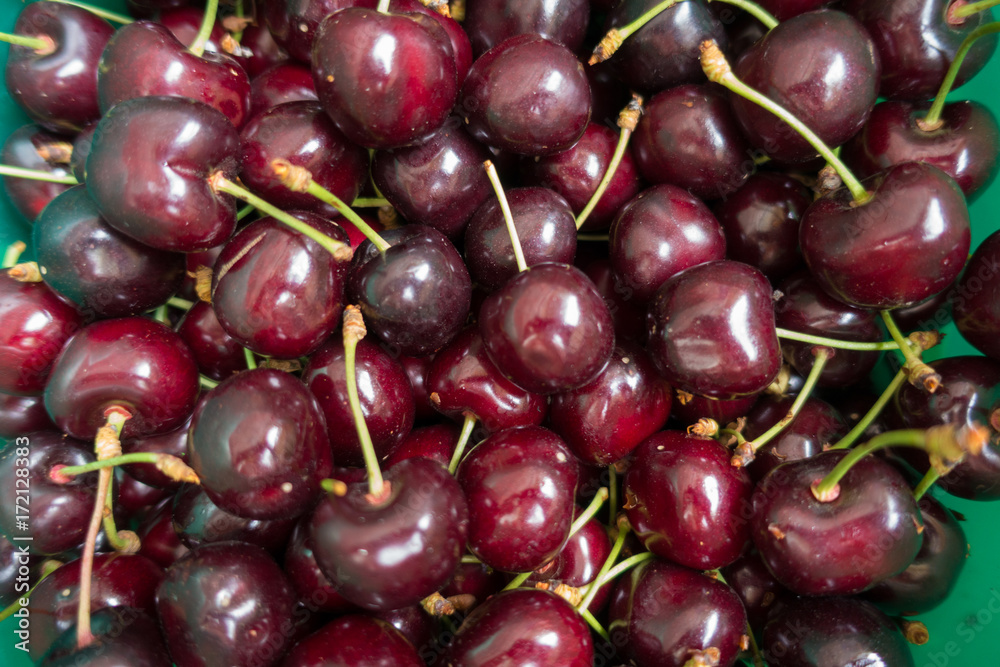 Field fresh ripe organic sweet cherries fruits Field fresh ripe organic sweet cherries fruits