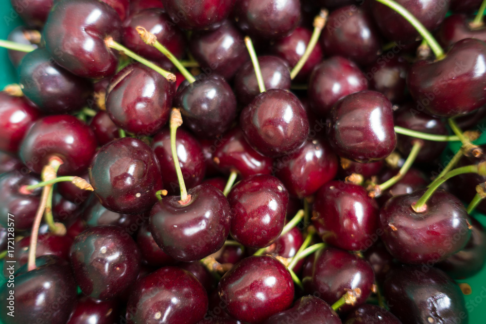 Plenty of fresh purple ripe sweet cherries Plenty of fresh purple ripe sweet cherries