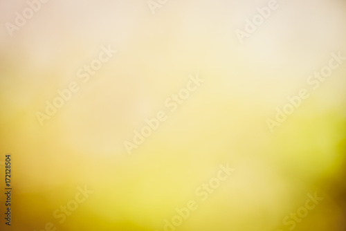 green bokeh from leaf nature background