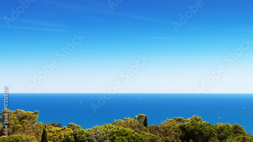 végétation, mer et ciel de bleu d'azur