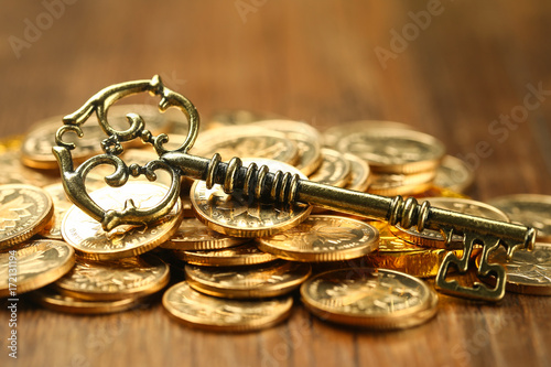 vintage golden key on golden coins